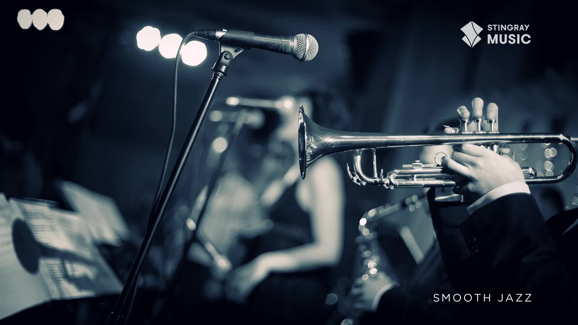 A trumpet gleams under the stage lights, held by a musician in a dark suit. The Stingray Smooth Jazz band is playing, the music filling the dimly lit Canadian venue.
