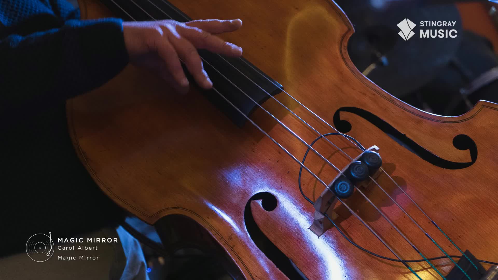 Fingers gently press down on the strings of a double bass, the instrument's wooden body gleaming under the lights. This is Stingray Smooth Jazz, and the music is about to begin.
