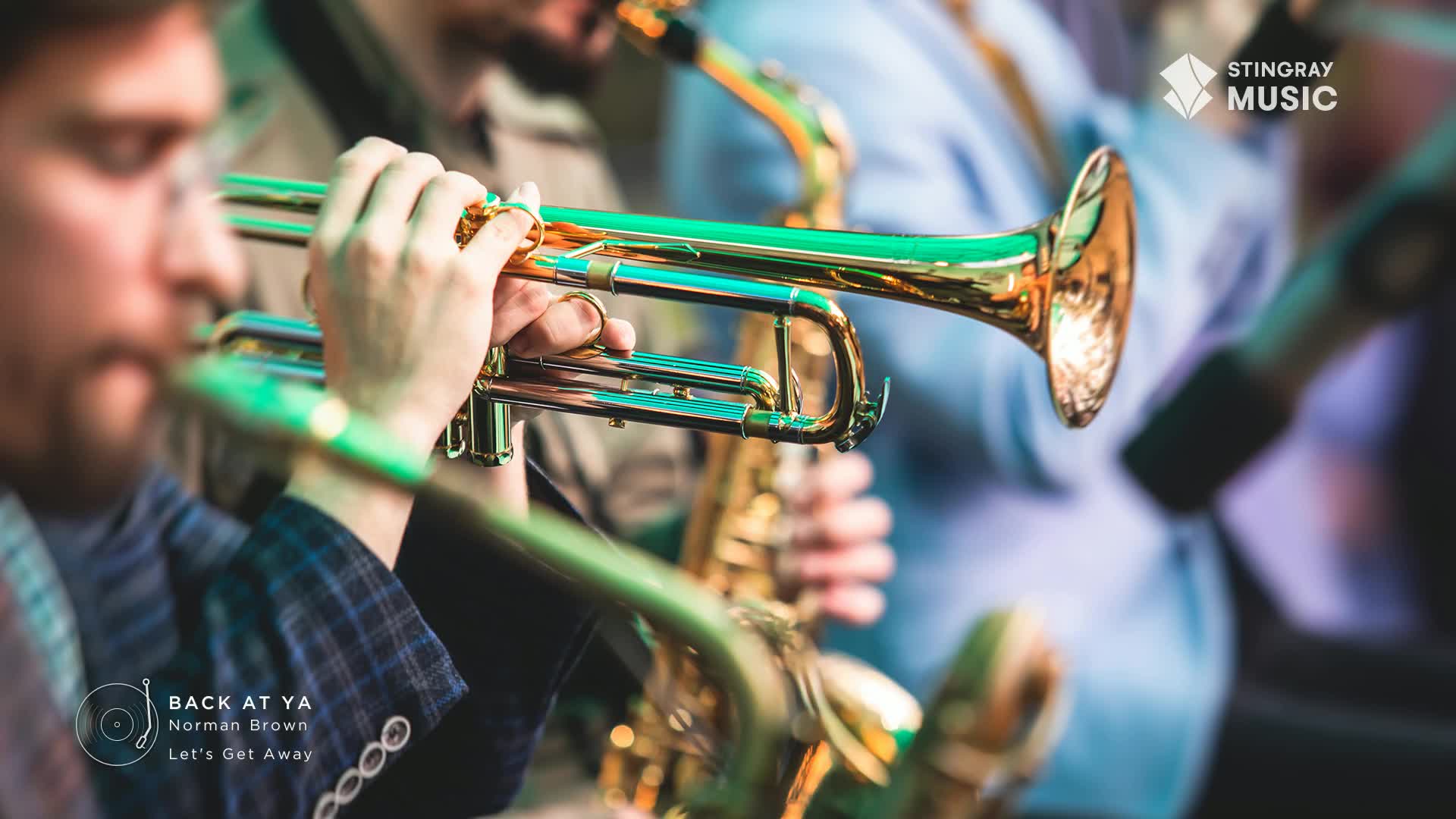 A trumpet gleams, held by a musician in a plaid shirt, as he presses the valves. The band, part of the Stingray Smooth Jazz scene, is clearly in the middle of a song.
