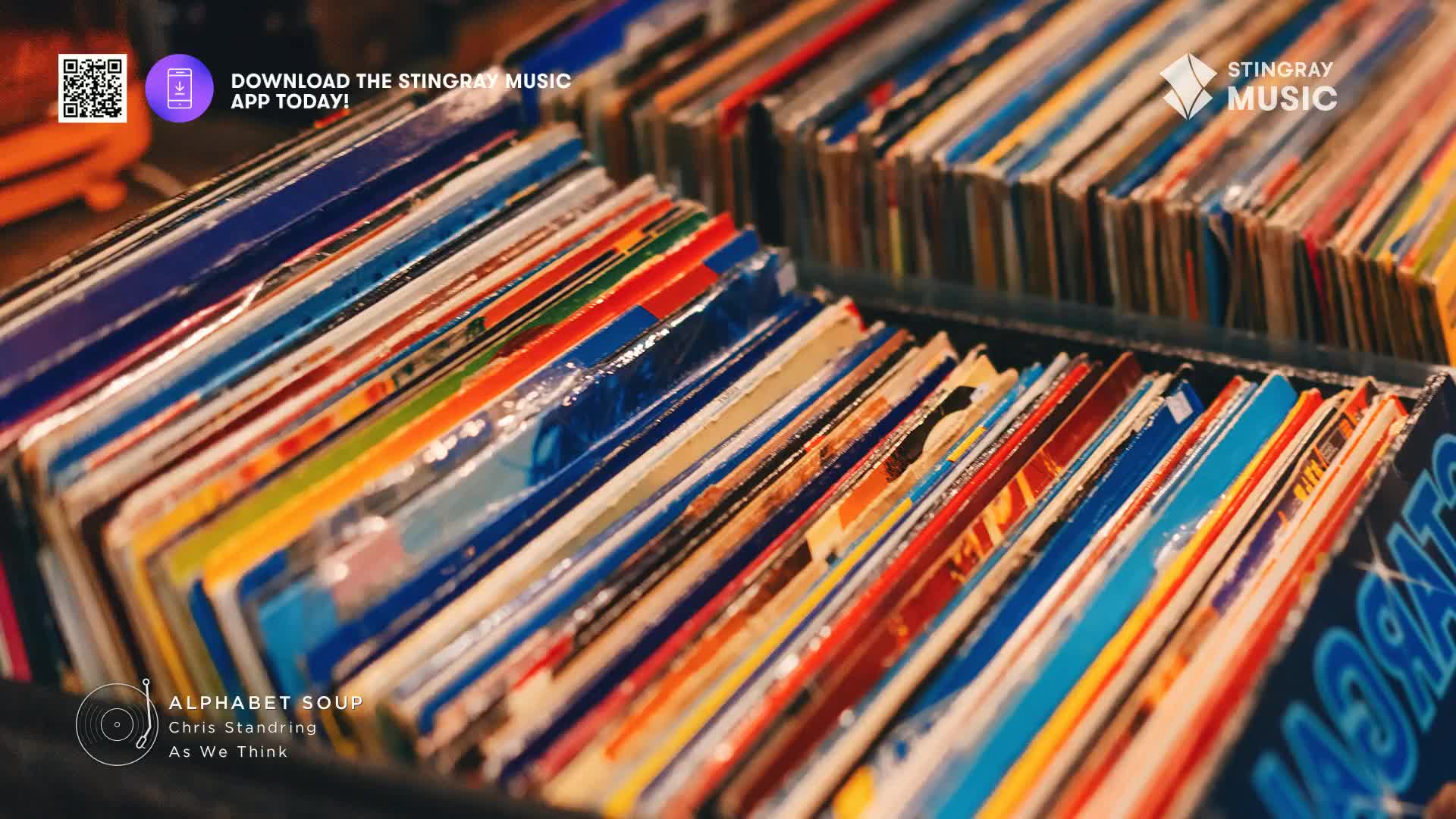 Rows of colourful record spines stand at attention, a vibrant collection ready to be explored. This is the heart of the Stingray Smooth Jazz experience, where every album promises a new journey.