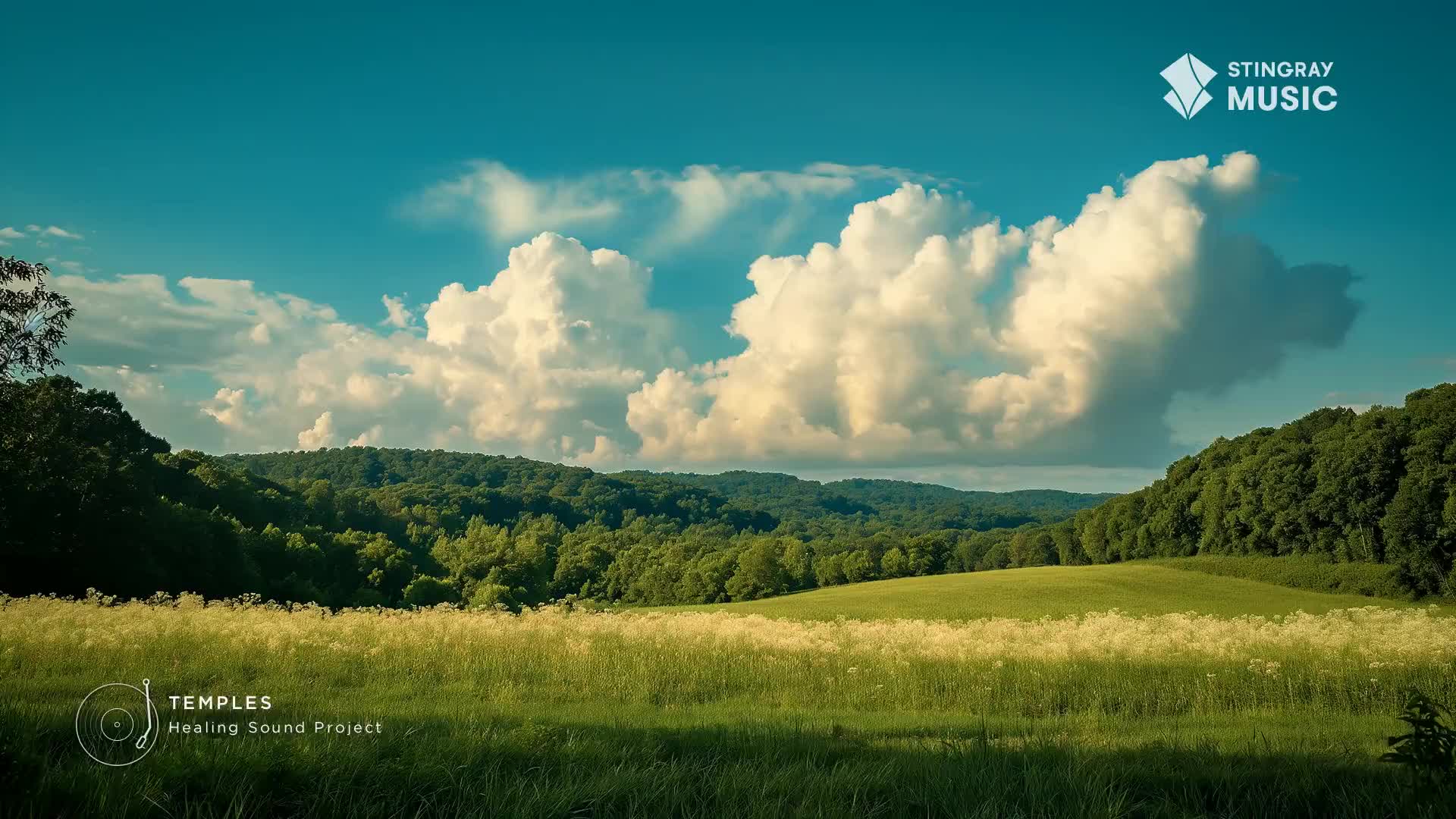 The sky is a brilliant blue, dotted with puffy white clouds that cast shadows over the rolling green hills. A field of tall grass sways gently in the breeze, promising a peaceful moment.
