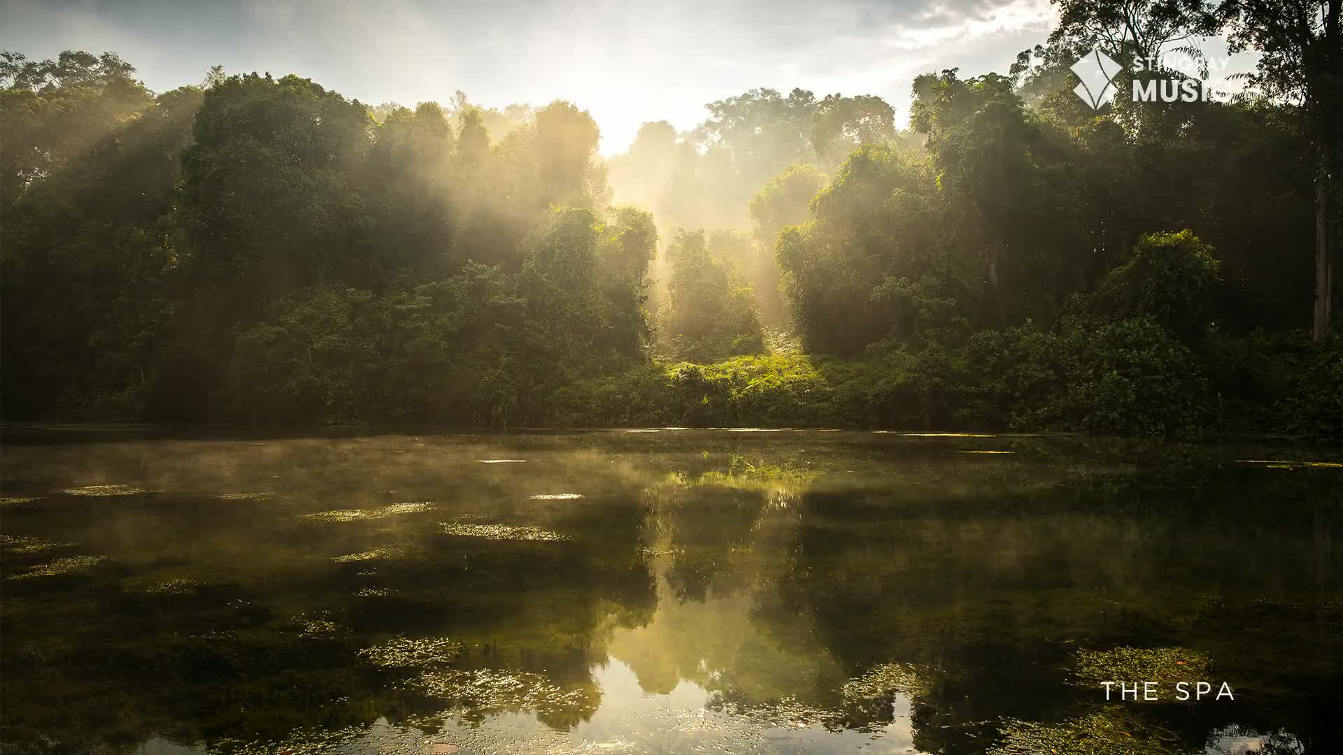 Sunlight streams through the trees, illuminating patches of green in the dense forest. The water's surface is still, reflecting the light and mist from The Spa.
