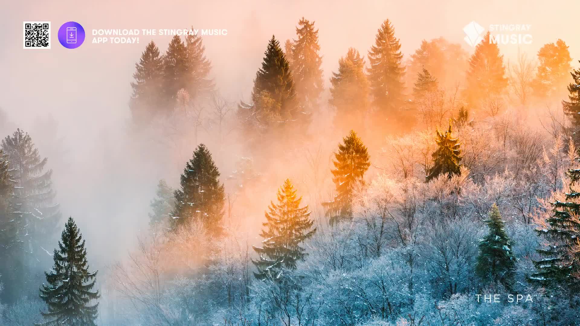 The sun is rising, casting a warm glow over the frosted Canadian forest. Wisps of fog drift through the trees, creating a tranquil scene that feels perfect for a relaxing day at The Spa.
