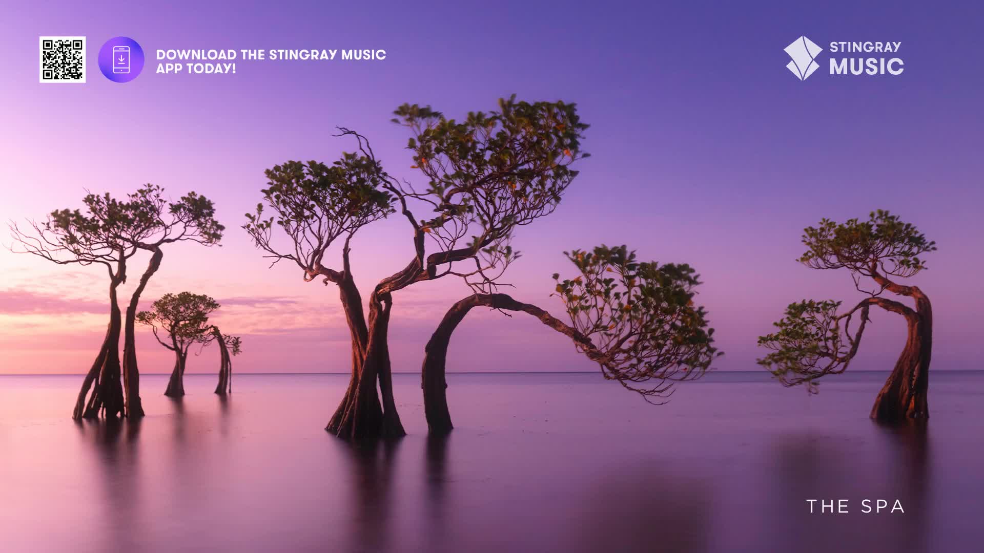 The trees, with their exposed roots, stand in the still water, their branches reaching towards the soft, purple sky. It looks like a scene from Stingray The Spa, a place in Canada where I could relax and listen to the music.
