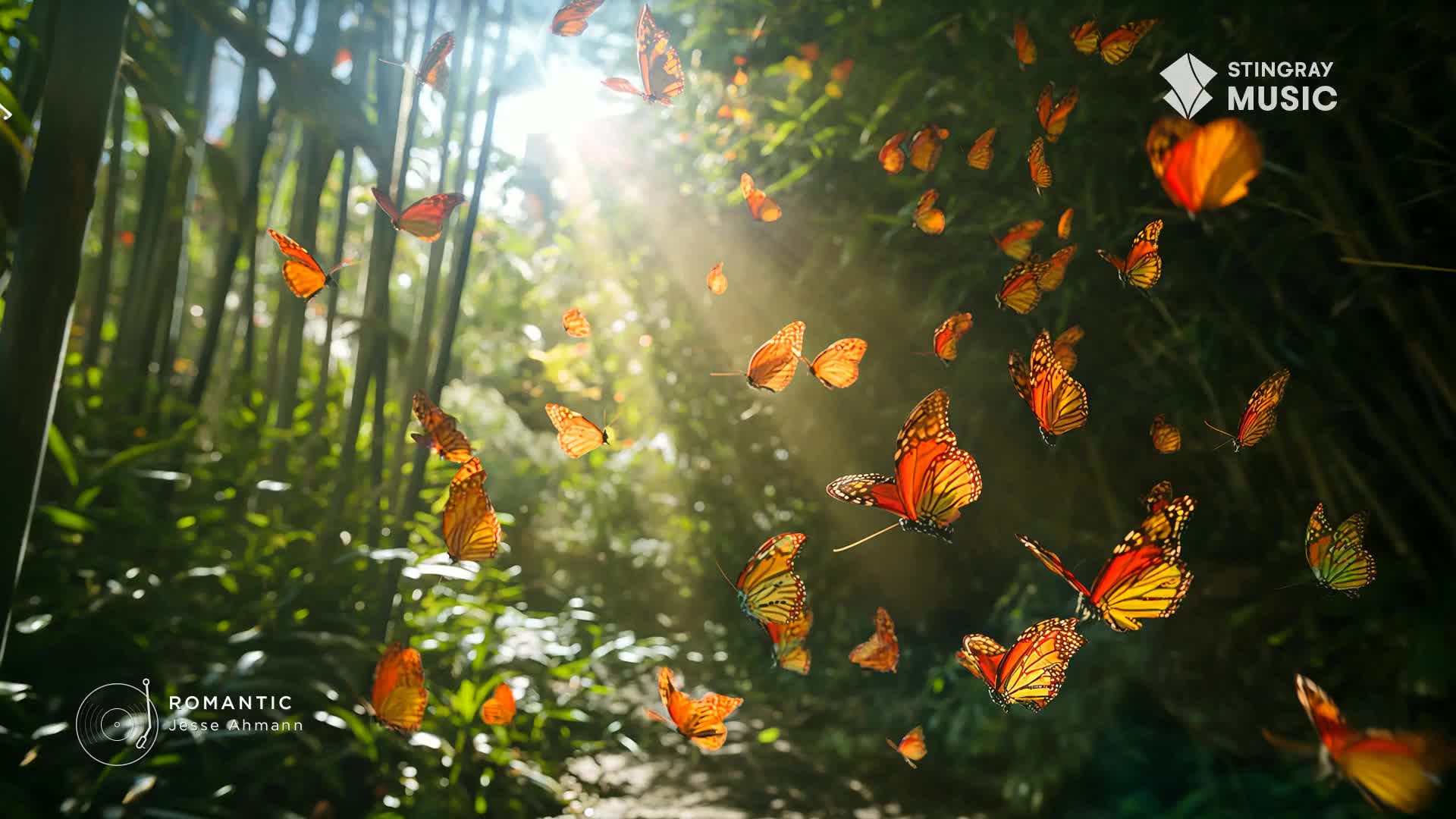 A swarm of monarch butterflies flutters through a sun-dappled forest, their orange and black wings catching the light. They move with a gentle, unhurried grace, a vibrant spectacle against the lush green foliage.