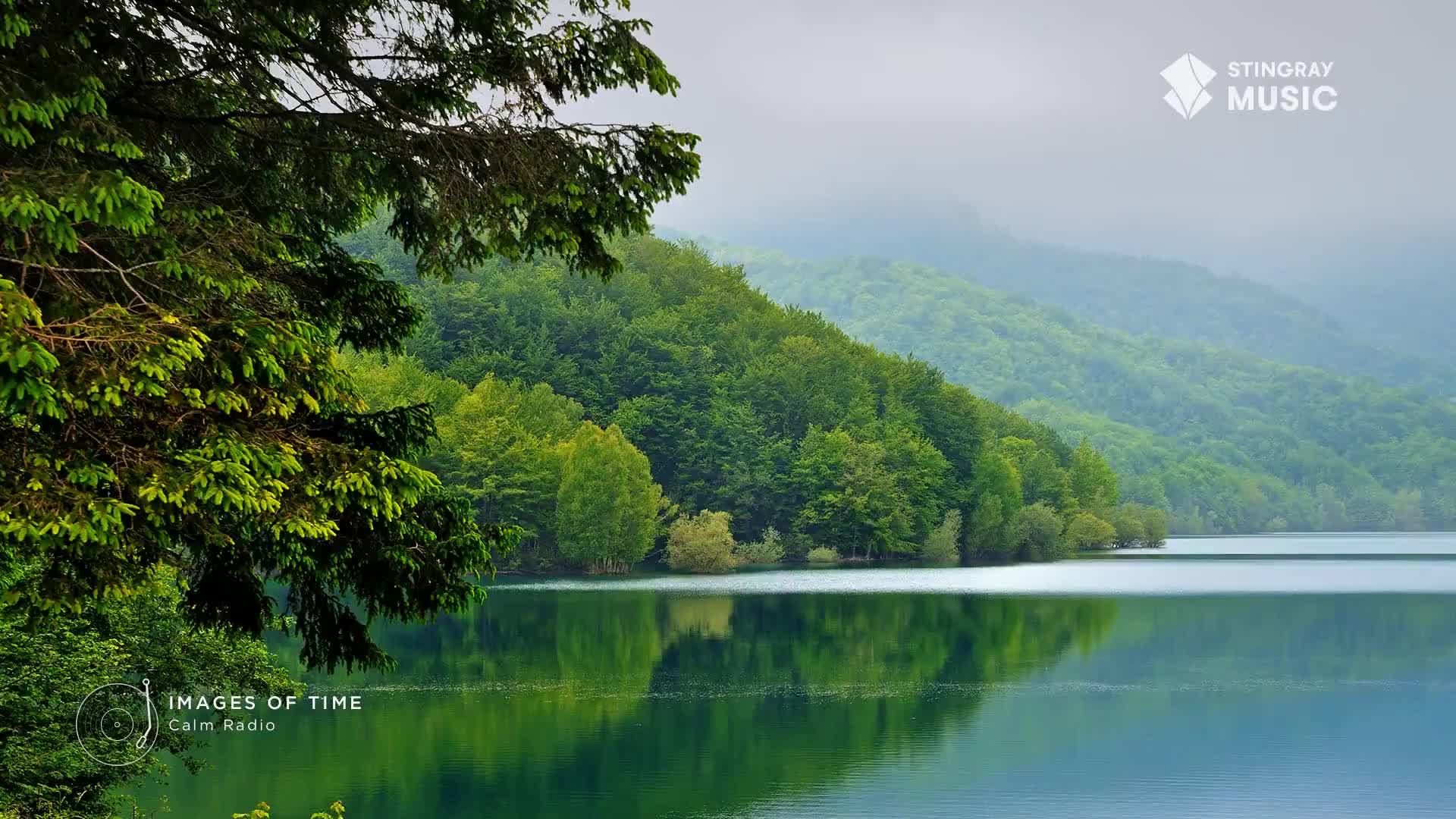 The calm Canadian lake mirrors the lush green forest that climbs the misty hills. A few wisps of fog drift over the distant peaks.