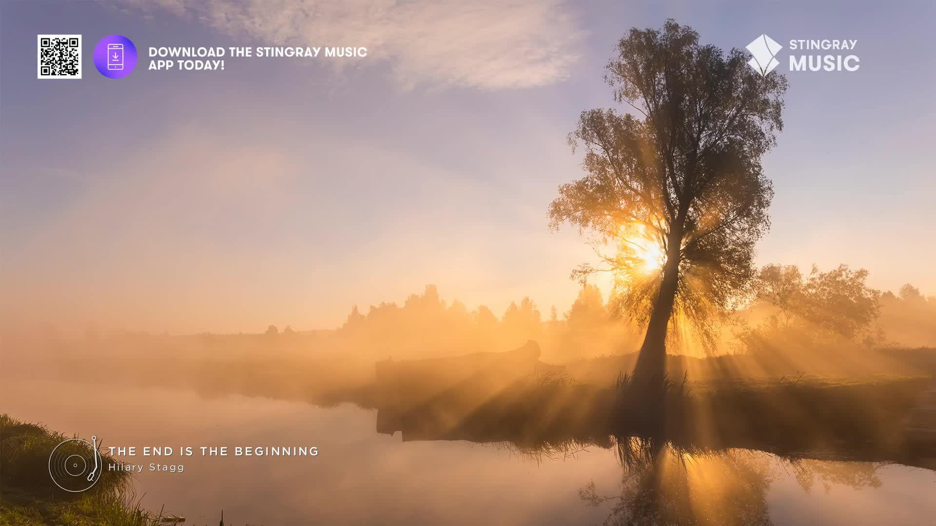 The sun breaks through a hazy Canadian morning, casting golden rays across a still lake.  A lone tree stands silhouetted against the light, its branches reaching towards the sky.