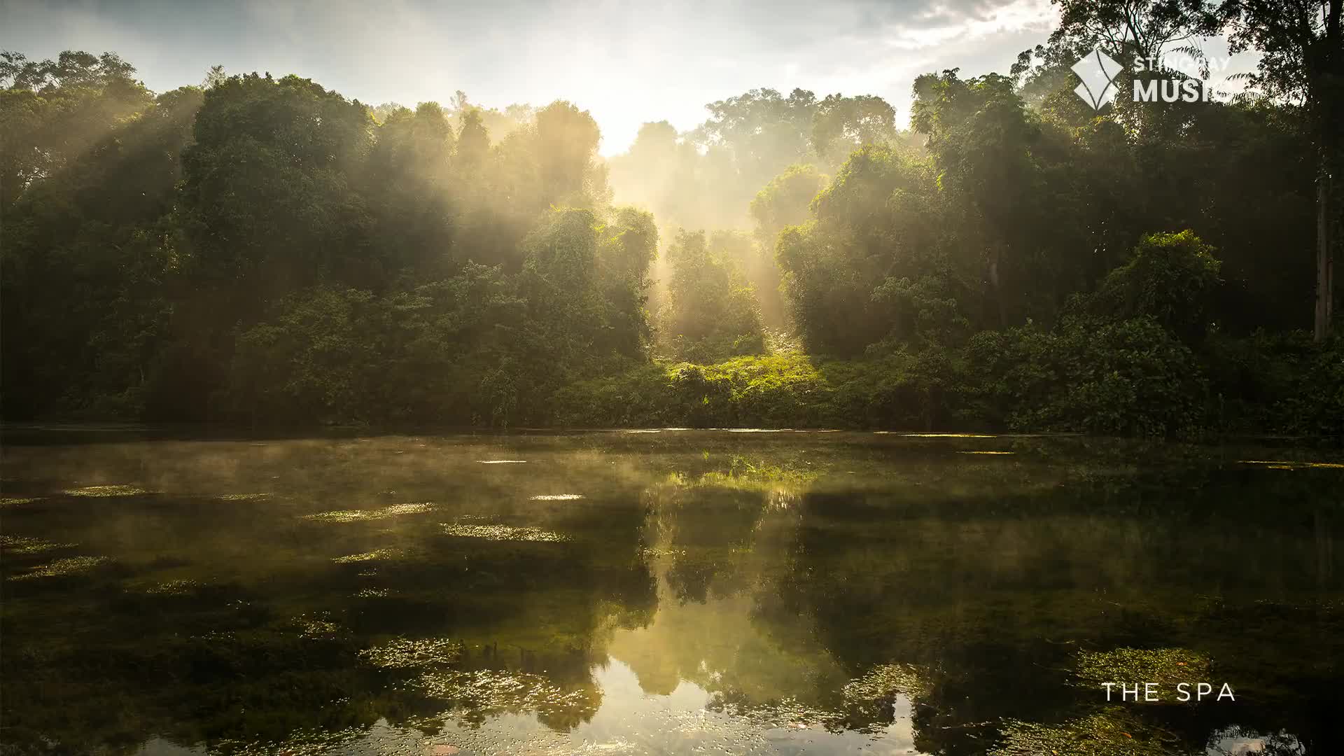 Sunlight pierces the dense Canadian forest, illuminating a misty lake. The water's surface reflects the vibrant green of the trees, creating a tranquil scene.