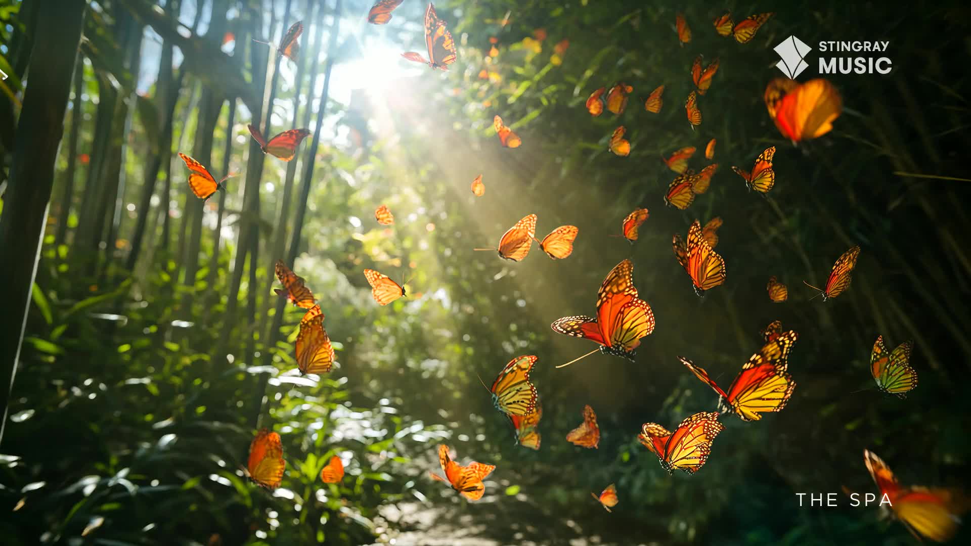 Monarch butterflies flutter through shafts of sunlight in a lush, green forest. Their orange and black wings catch the light as they drift past tall bamboo stalks.