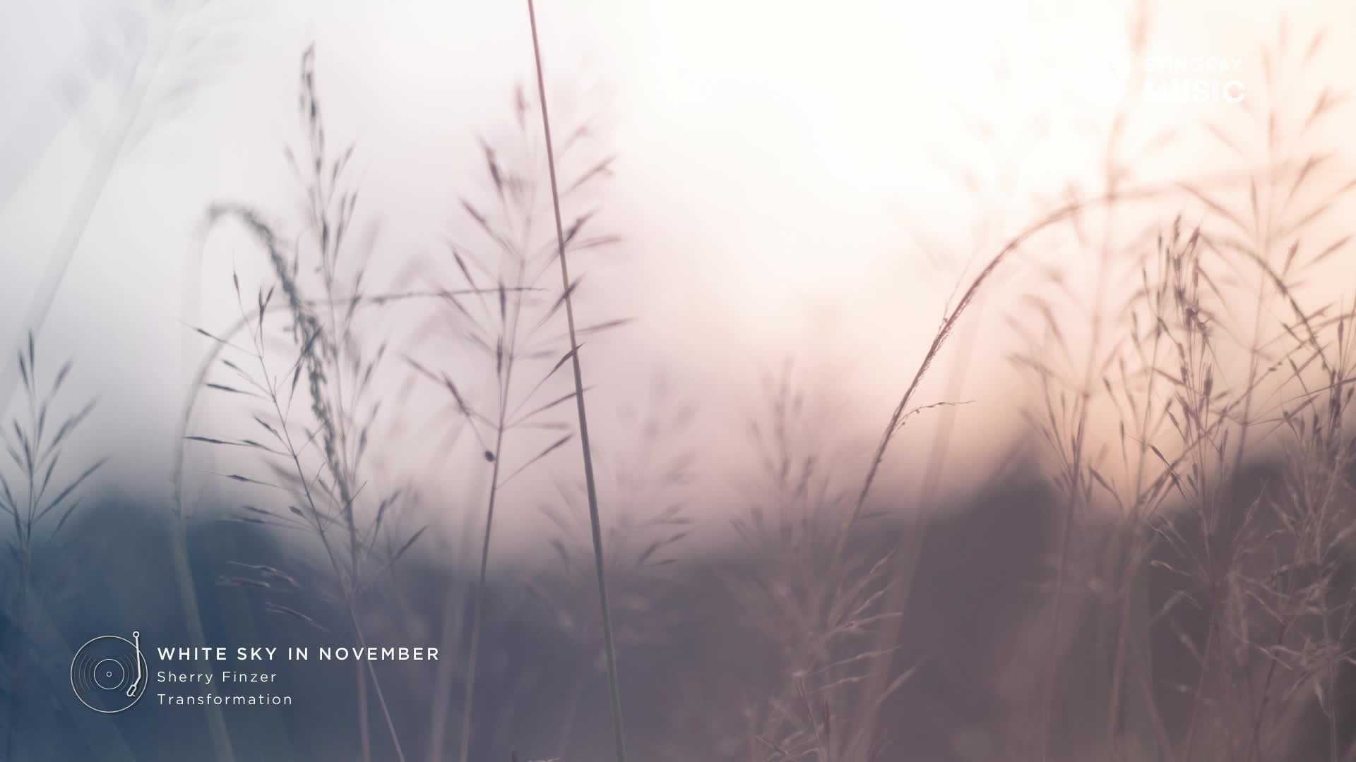 Tall, dry grass stalks sway gently in the soft, diffused light of a Canadian November sky. The muted colors of the landscape suggest a quiet afternoon, perhaps near a place like Stingray The Spa.