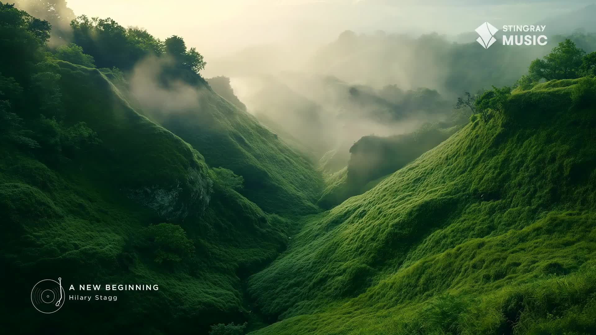 Mist drifts through a lush, green valley in the Canadian Rockies. The slopes are covered in vibrant grass, leading up to a hazy summit.