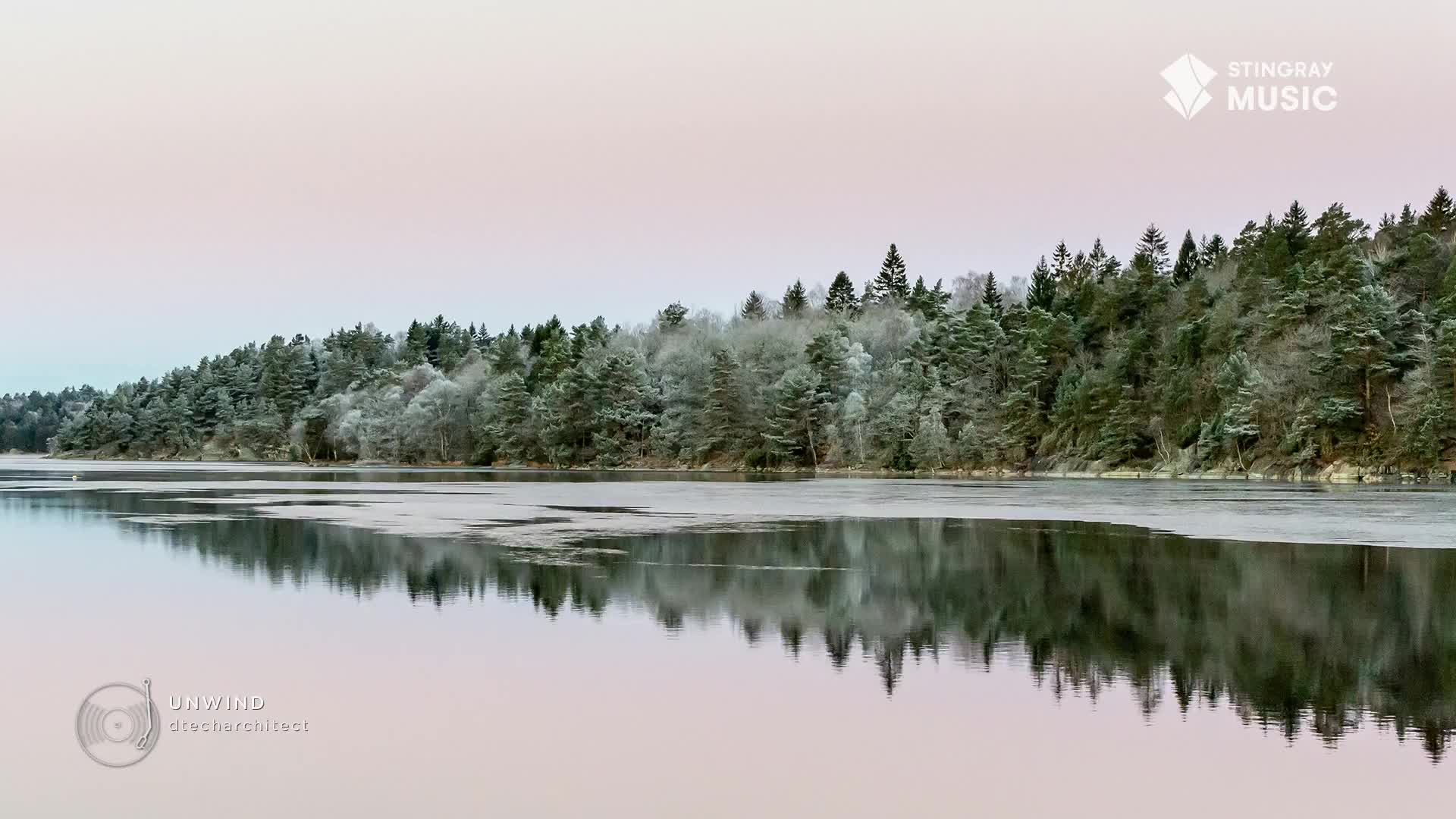 The lake's surface is partially frozen, reflecting a dense, snow-dusted forest. A lone swan glides across the icy water, its white form stark against the muted tones of the Canadian landscape.