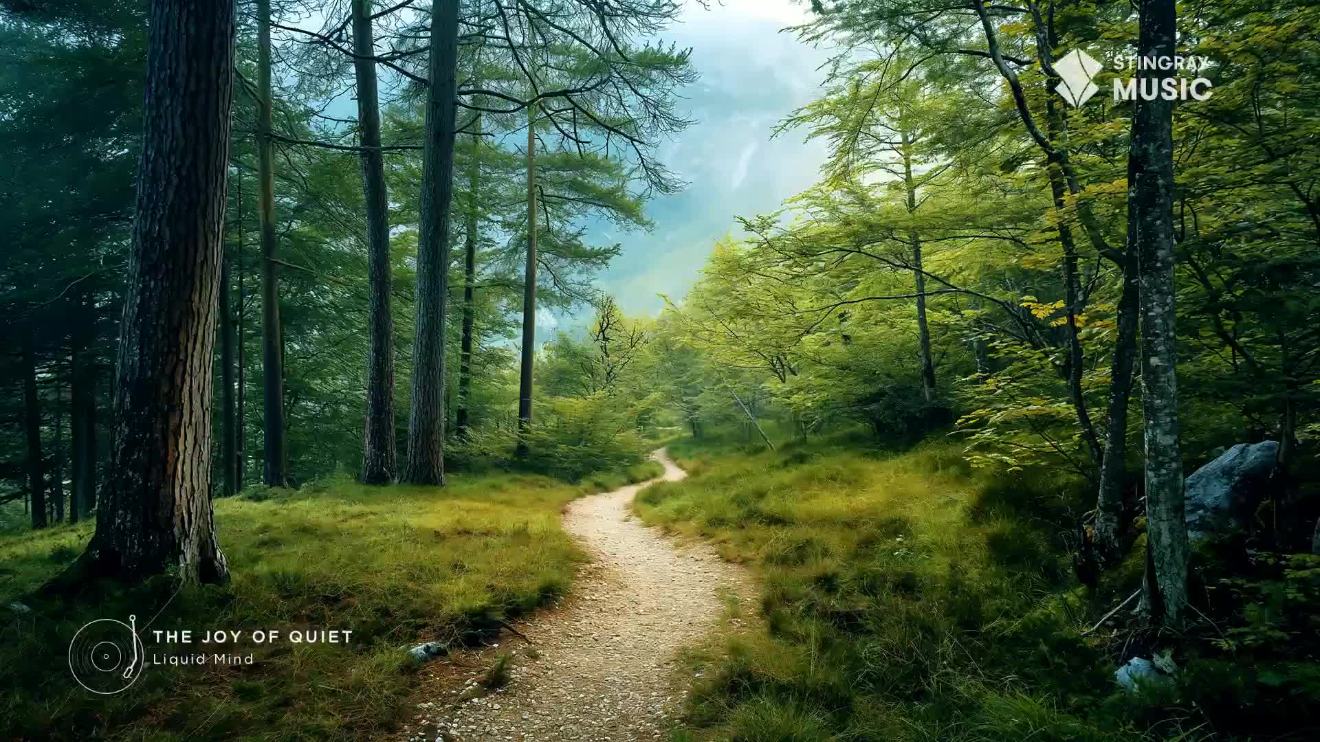The path winds through a dense forest, sunlight dappling the mossy ground. Tall pines and vibrant green foliage create a serene Canadian landscape. The path winds through a dense forest, sunlight dappling the mossy ground. Tall pines and vibrant green foliage create a serene Canadian landscape.