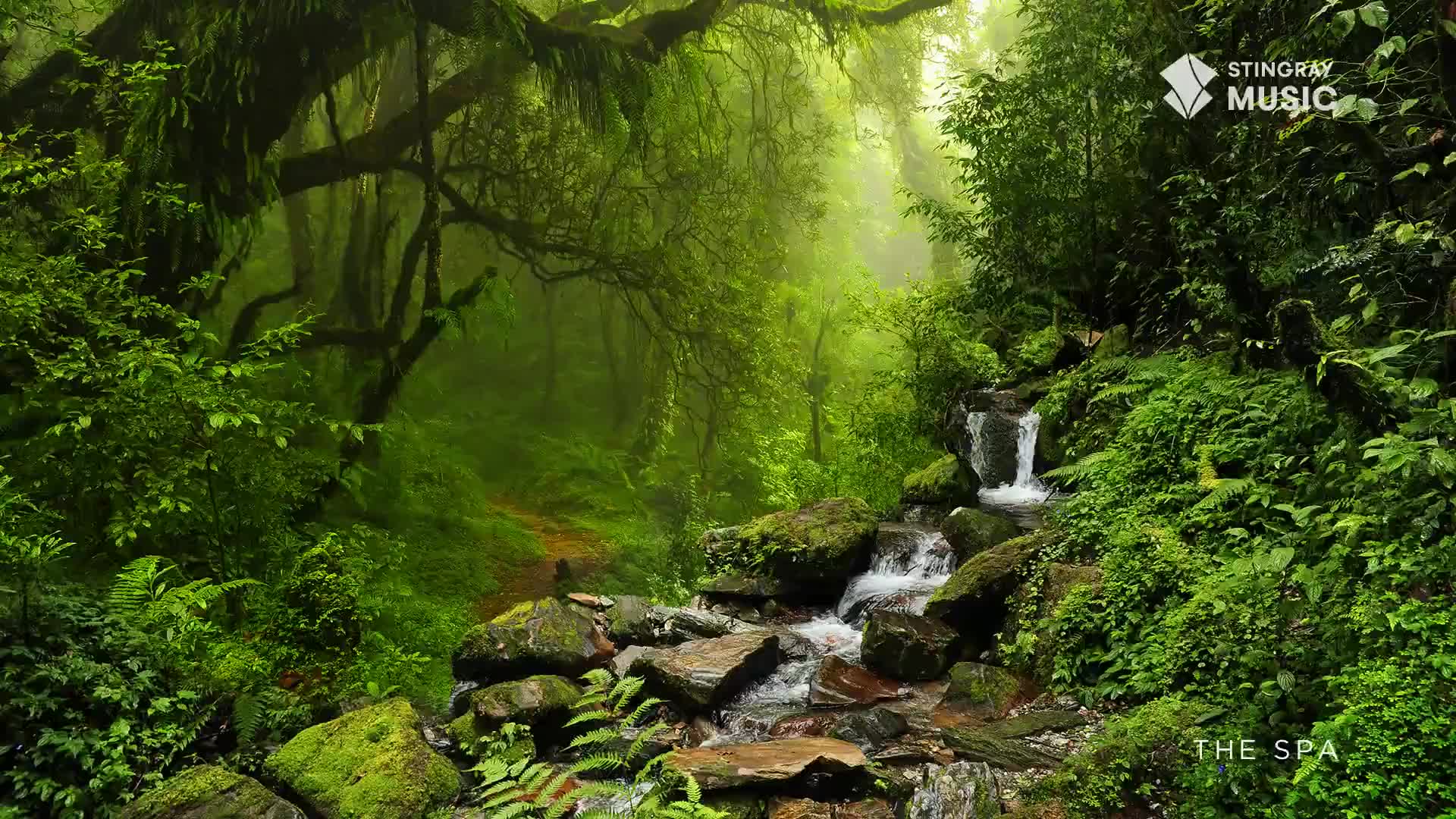 Water tumbles over moss-covered rocks, carving a path through the dense Canadian forest. The air hangs thick with mist, softening the edges of ancient trees and lush ferns. Water tumbles over moss-covered rocks, carving a path through the dense Canadian forest. The air hangs thick with mist, softening the edges of ancient trees and lush ferns.