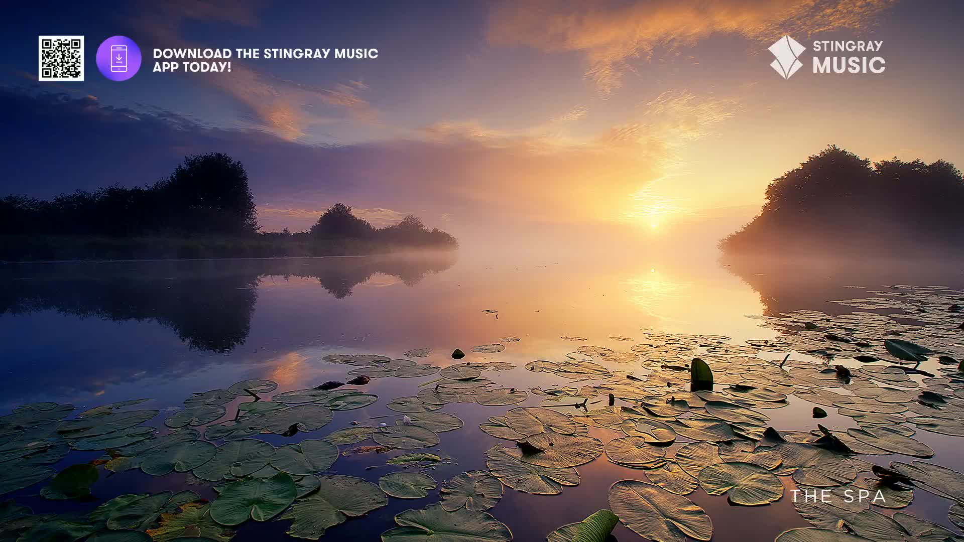 The sun breaks through the morning mist over a calm Canadian lake, its light reflecting on the water. Lily pads float serenely on the surface, hinting at the peaceful "Spa" experience Stingray Music offers. The sun breaks through the morning mist over a calm Canadian lake, its light reflecting on the water. Lily pads float serenely on the surface, hinting at the peaceful "Spa" experience Stingray Music offers.