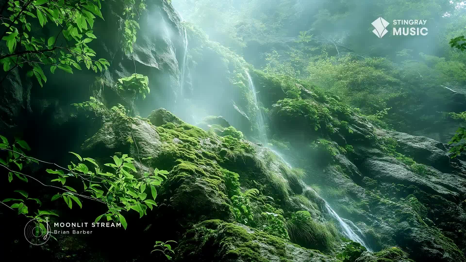 Water cascades down moss-covered rocks, mist rising through the dense Canadian forest. The air feels cool and damp, a perfect setting for a spa retreat.