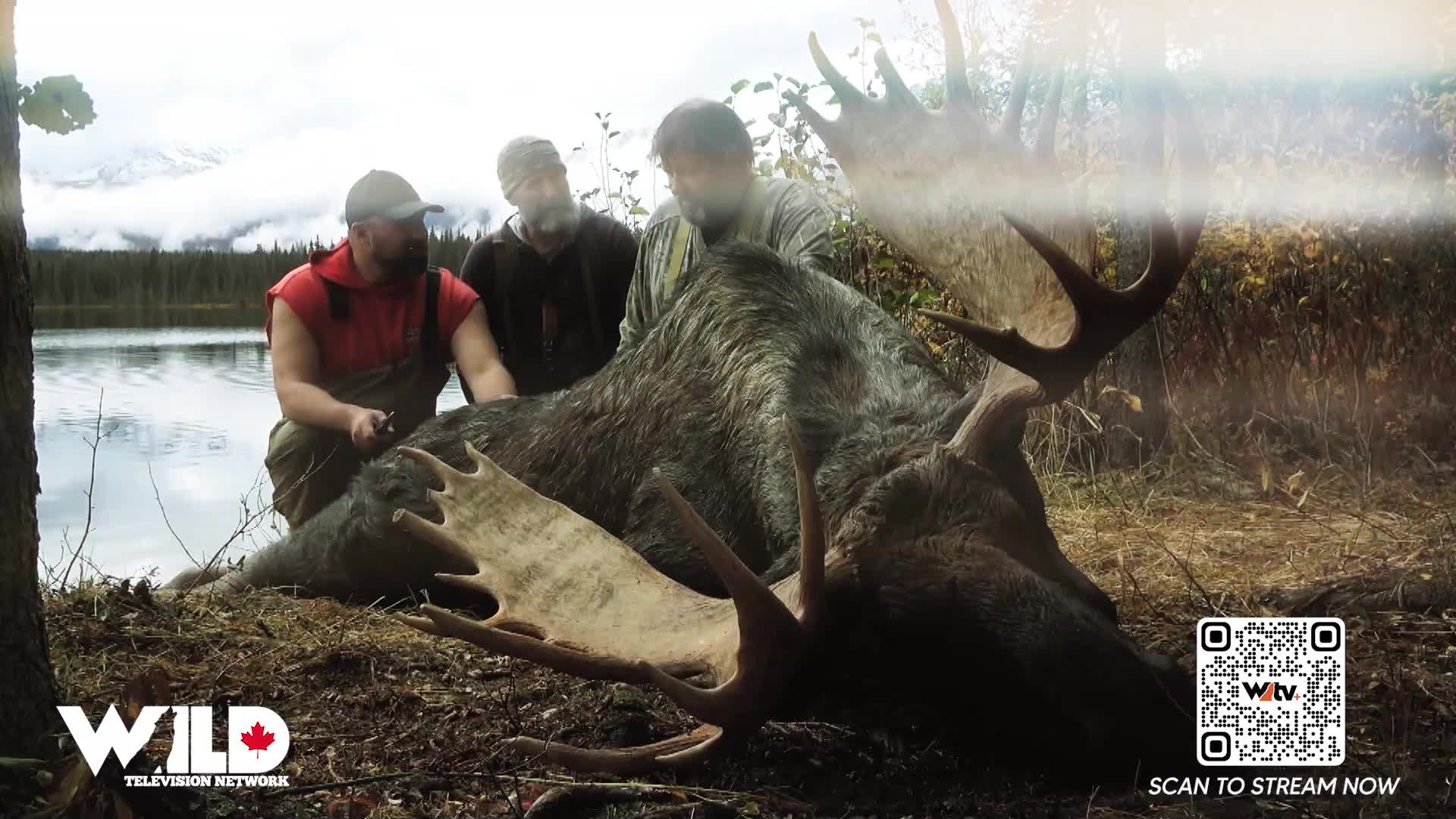 Three men are gathered around a fallen moose, its massive antlers spread across the ground. The scene, likely from a Wild TV episode, unfolds beside a calm lake under a cloudy sky.
