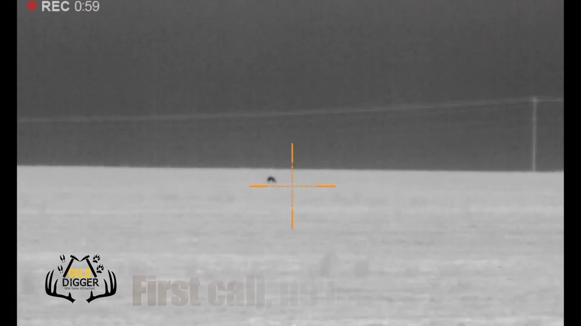 A small, dark shape is centered in the crosshairs, likely a target. The thermal image shows the animal against a flat, white landscape.
