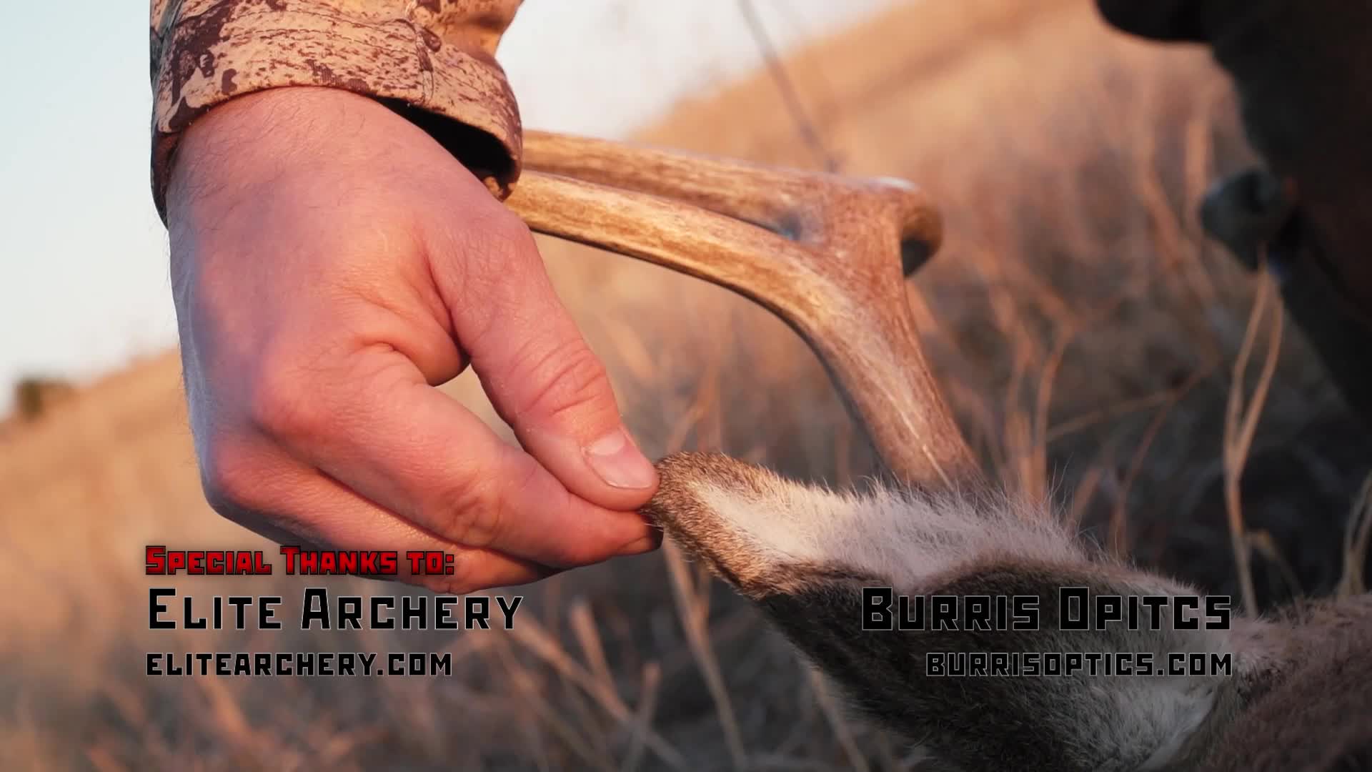 A hand gently touches the soft fur of a deer's ear, the antler's tines rising behind it. The scene unfolds in a field, with the sky softly lit in the background.
