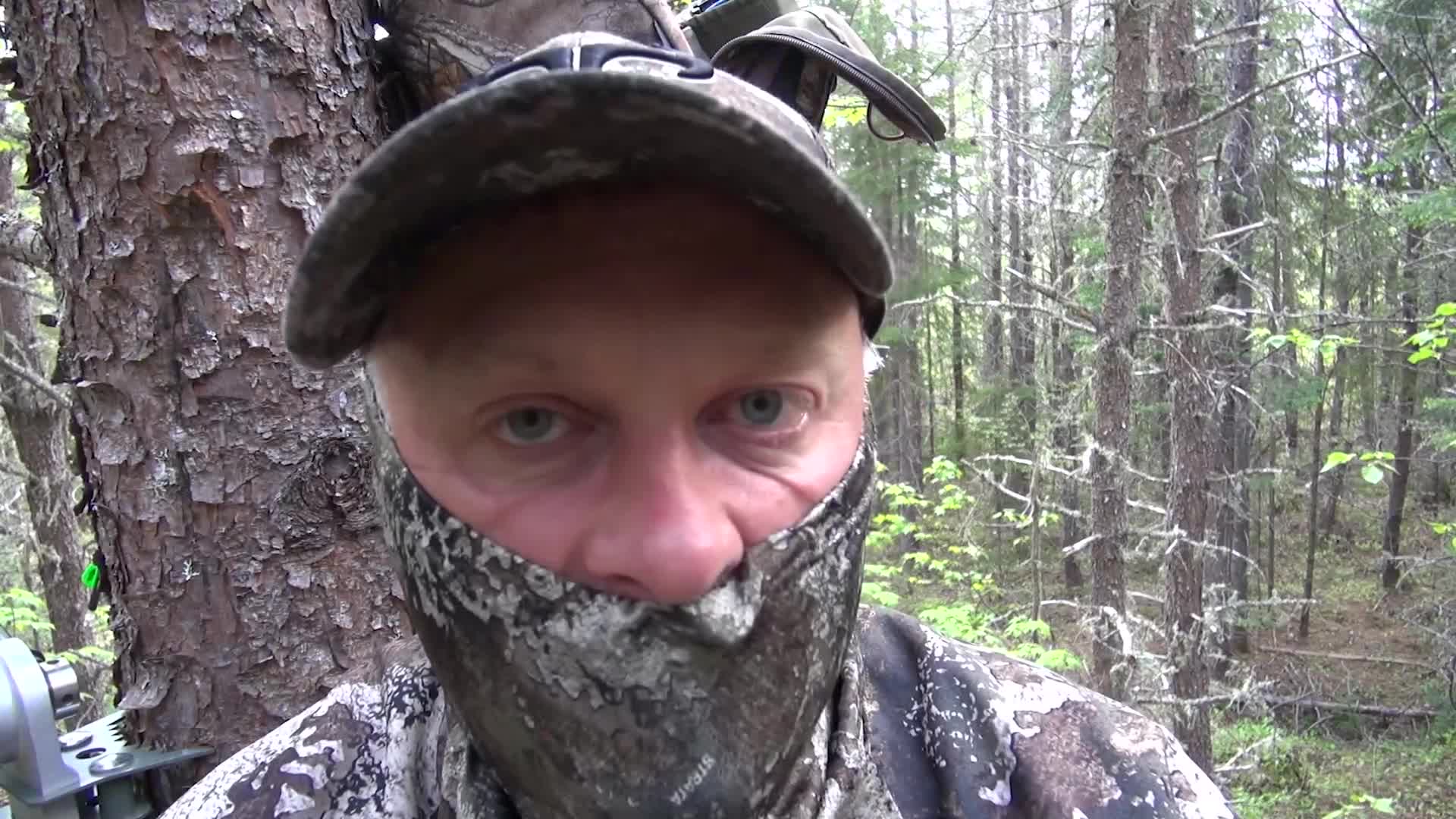 A man in camouflage gear, face partially covered, stares directly at the camera from a tree stand. He's surrounded by a dense forest, the trees rising behind him.
