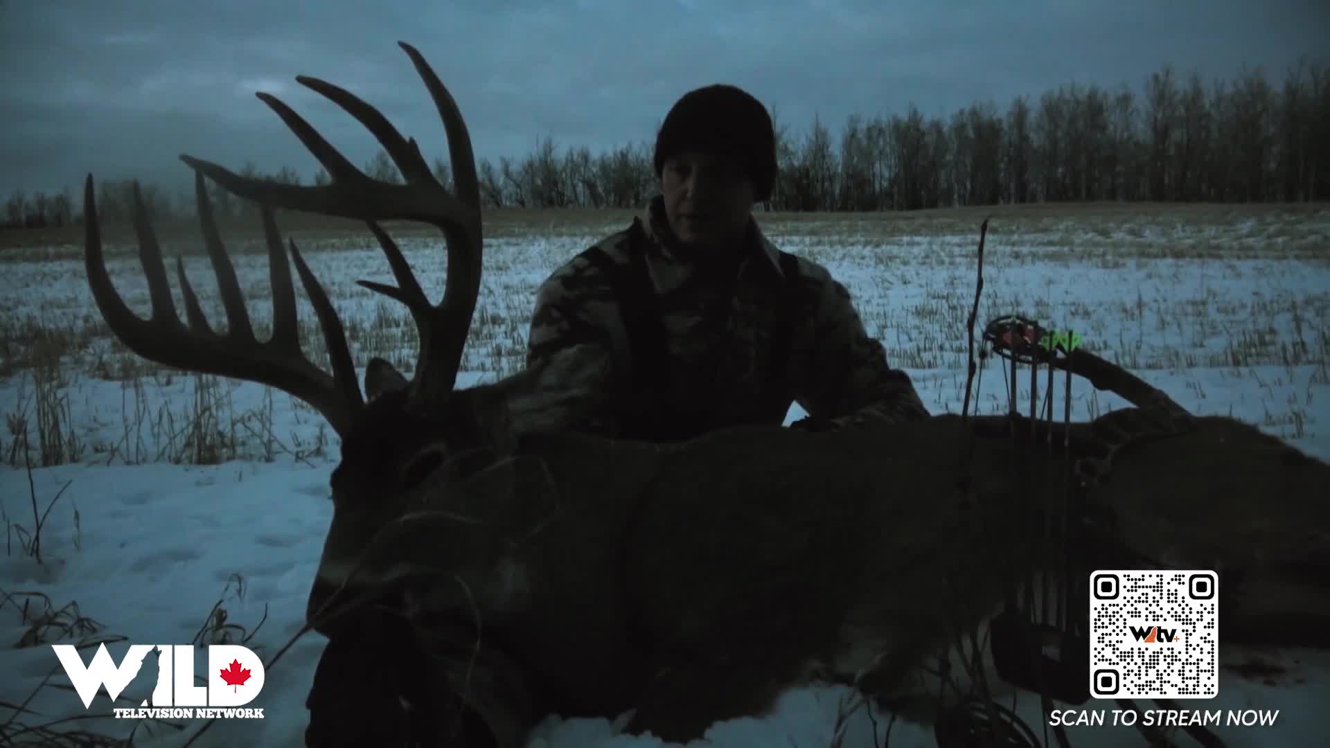 A hunter kneels in the snow, posing with a large buck. The deer's impressive antlers are silhouetted against the dim, overcast sky.
A hunter kneels in the snow, posing with a large buck. The deer's impressive antlers are silhouetted against the dim, overcast sky.