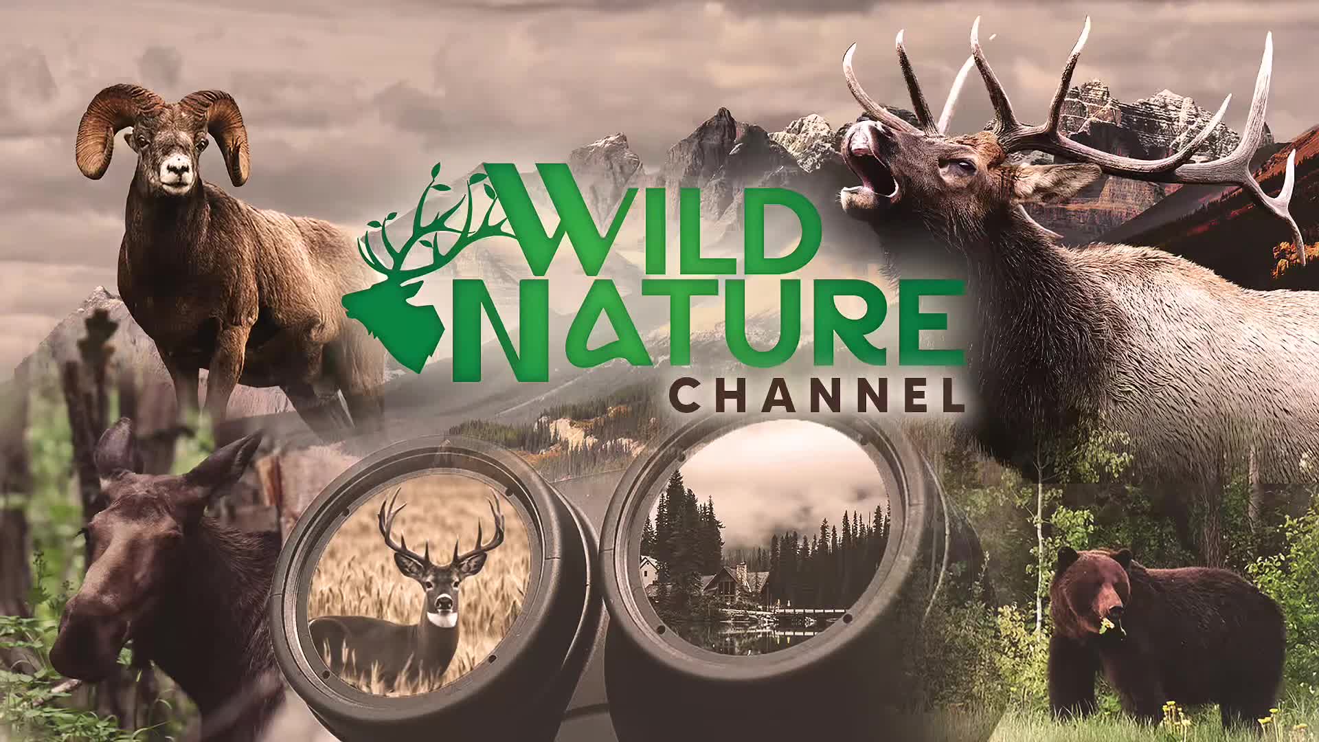 A massive bull elk bellows with its mouth wide open, antlers reaching skyward against a backdrop of rugged Canadian mountains. Nearby, a grizzly bear forages in the undergrowth, while a bighorn sheep stands stoically on a rocky outcrop. A massive bull elk bellows with its mouth wide open, antlers reaching skyward against a backdrop of rugged Canadian mountains. Nearby, a grizzly bear forages in the undergrowth, while a bighorn sheep stands stoically on a rocky outcrop.