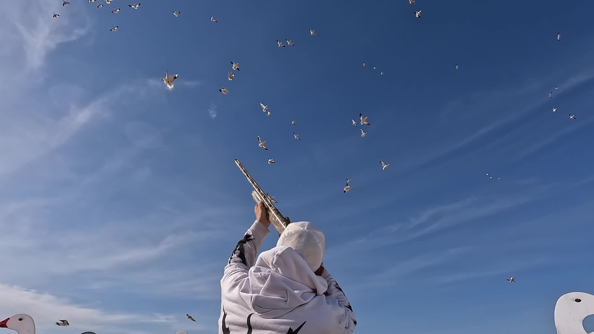 A hunter in a white hoodie raises his shotgun, aiming at a flock of birds against a bright blue sky. The birds scatter above, some white and some dark, as a puff of smoke erupts from the barrel. A hunter in a white hoodie raises his shotgun, aiming at a flock of birds against a bright blue sky. The birds scatter above, some white and some dark, as a puff of smoke erupts from the barrel.