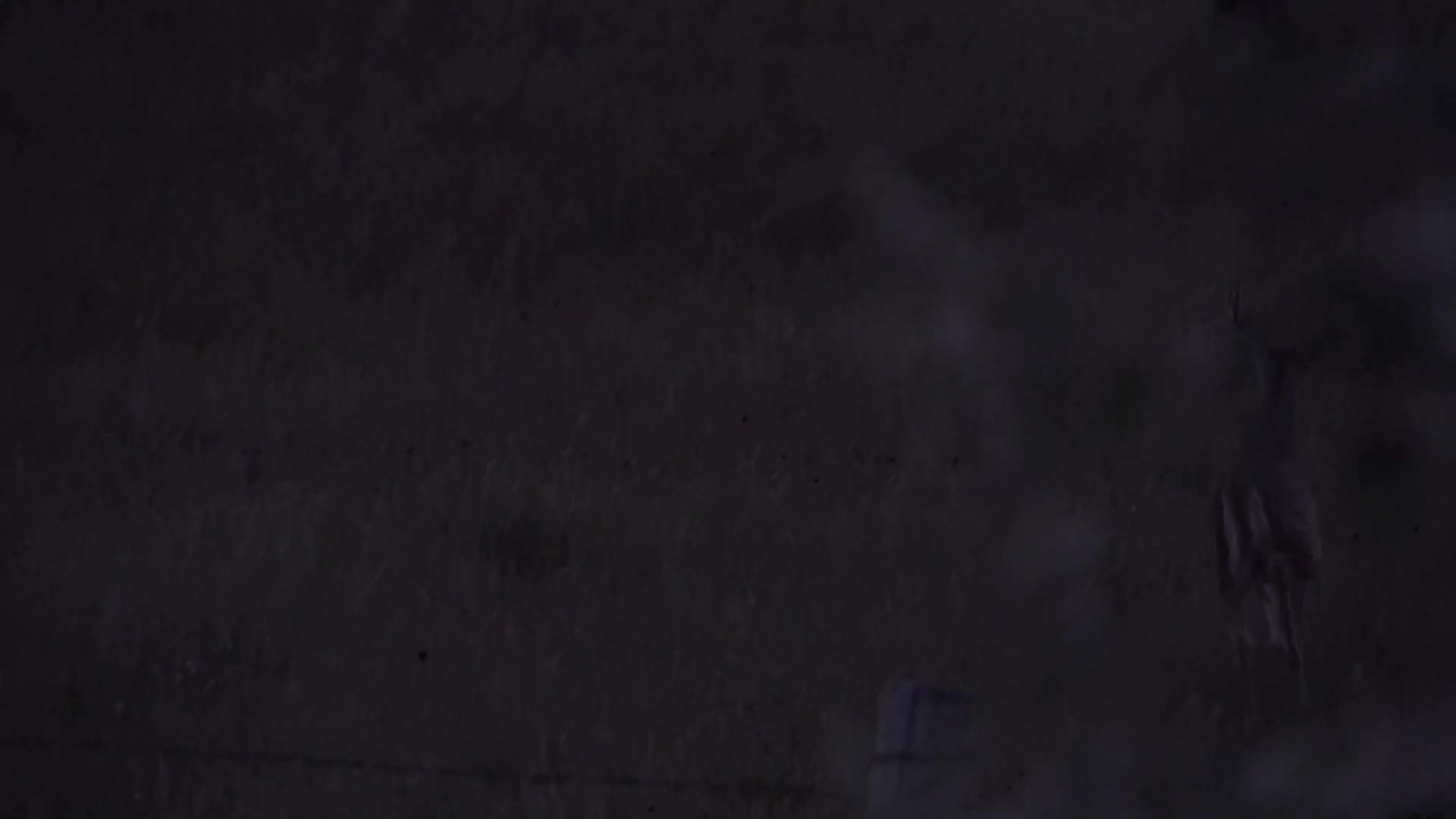 A young deer stands in a field, its head lowered. It's dusk in rural Canada, and the camera operator is likely filming for Wild TV. A young deer stands in a field, its head lowered. It's dusk in rural Canada, and the camera operator is likely filming for Wild TV.