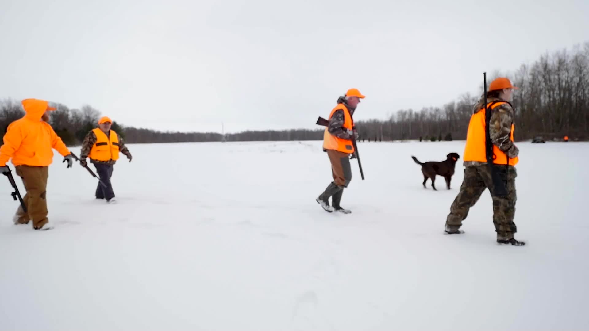 Hunters in bright orange vests stride across the snow-covered field, shotguns held ready. A dark-colored dog trots alongside them, its tail held high, as they move towards the treeline.