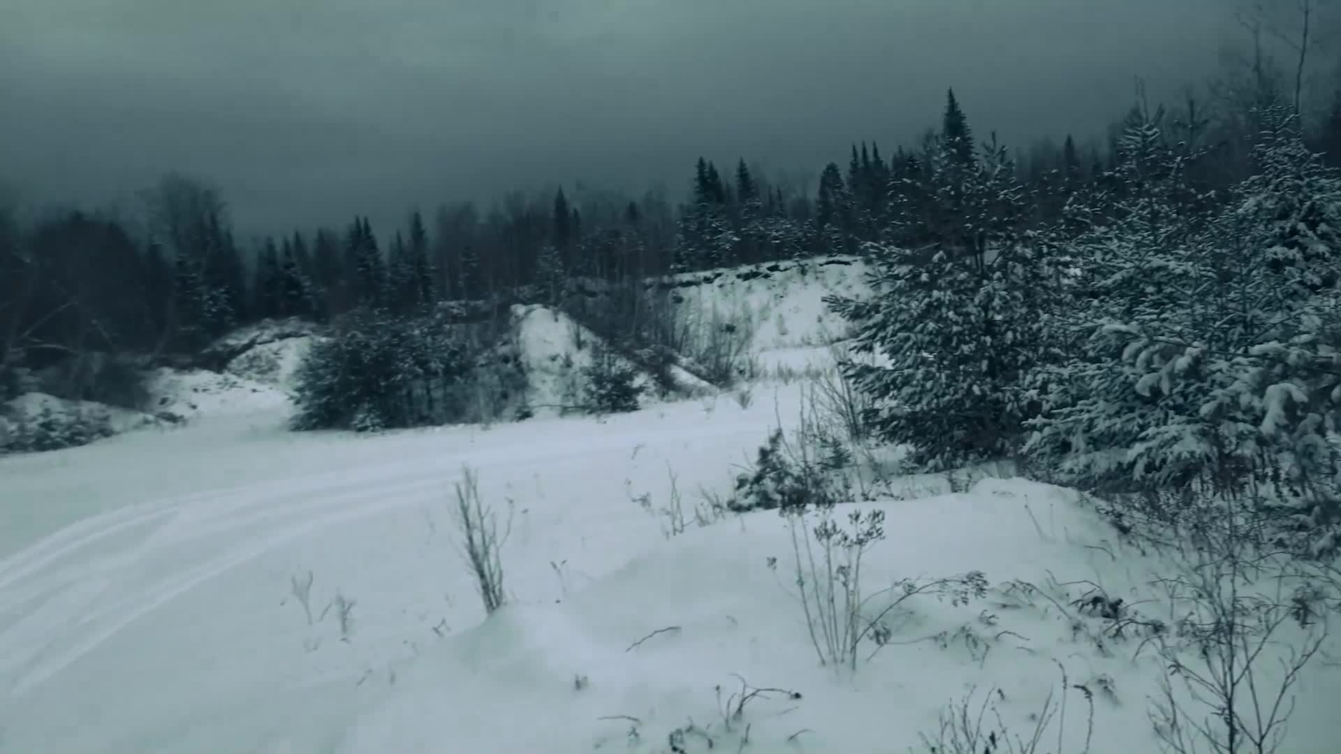 Fresh tracks cut through the fresh snow on this Canadian trail. A dense forest of snow-laden pines lines the path, hinting at the rugged wilderness often featured on Wild TV.