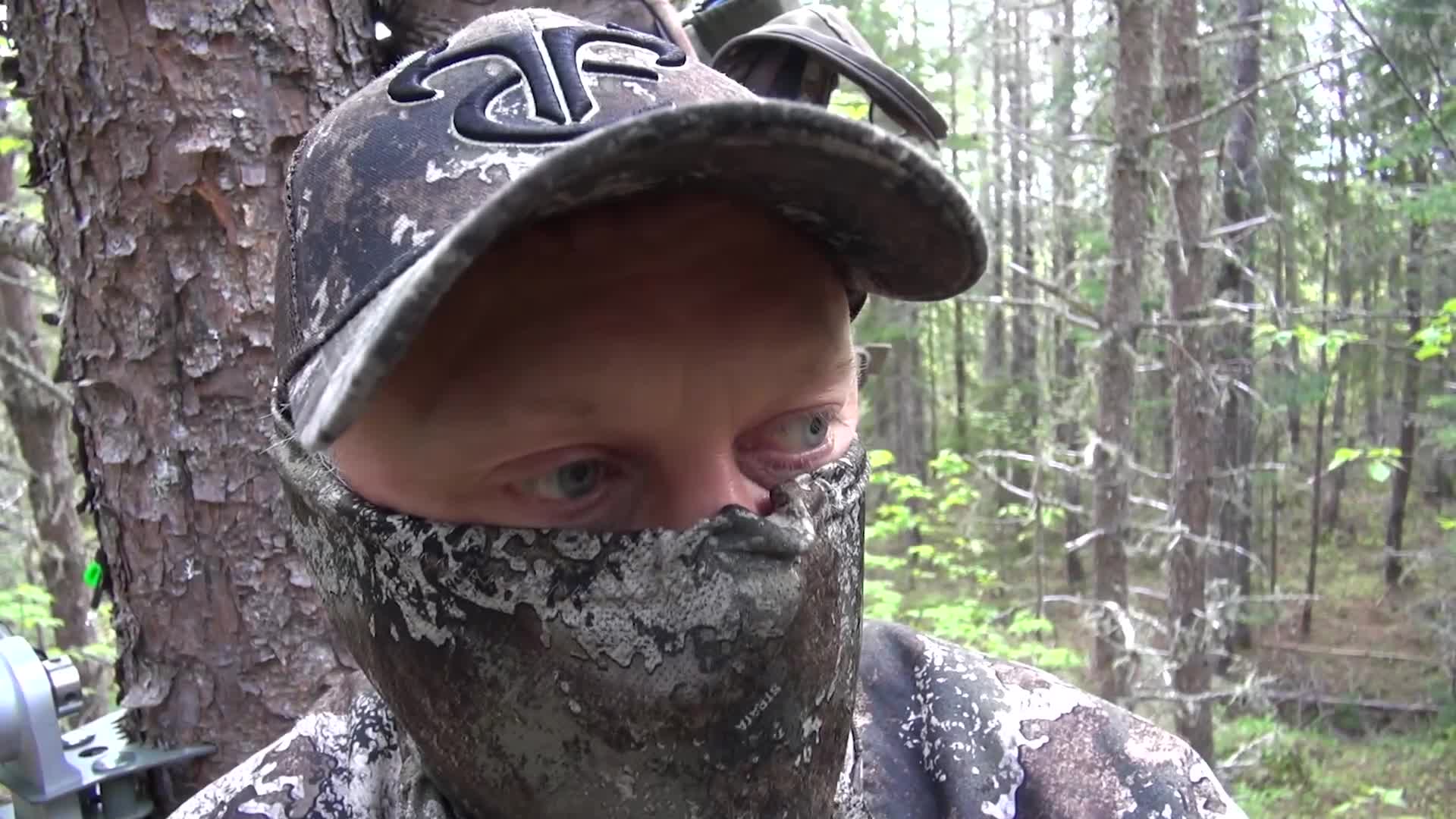 A hunter in camouflage scans the dense Canadian woods, his eyes focused intently. The textured bark of a pine tree is inches from his face, and a bow is visible to his left.