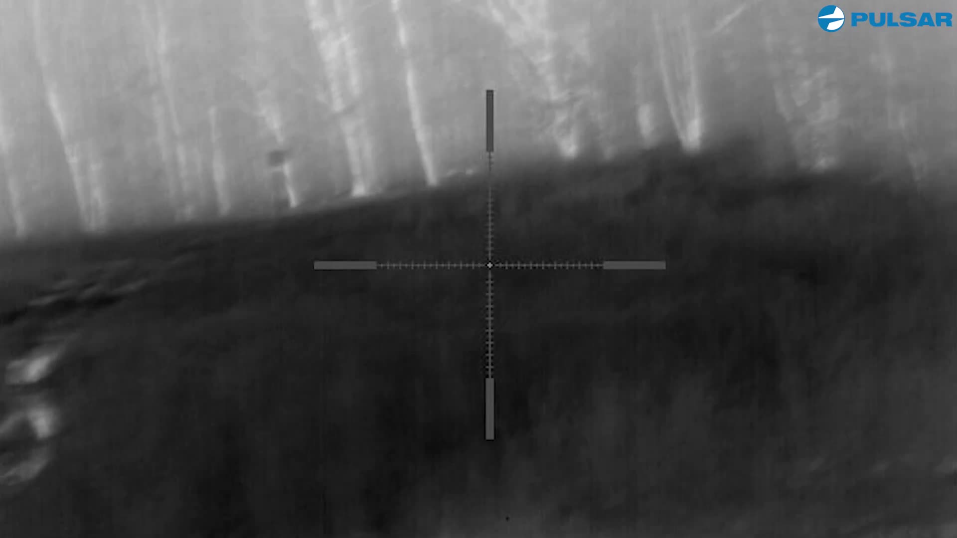 A deer moves through the tall grass in the Canadian woods. The thermal scope picks up its heat signature against the cool night.