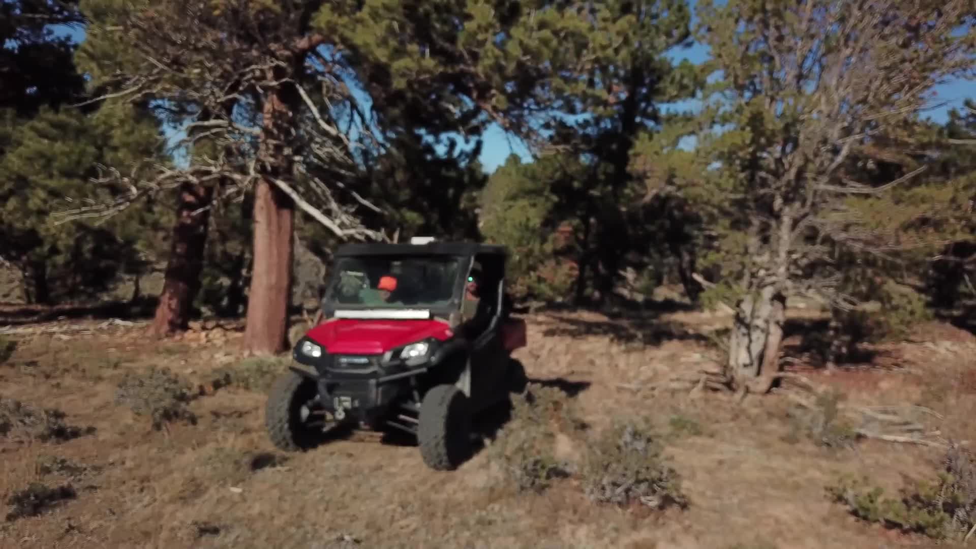 A red side-by-side ATV idles on a dirt path, surrounded by dry brush and tall pines. The driver, wearing an orange vest, looks out from the vehicle.