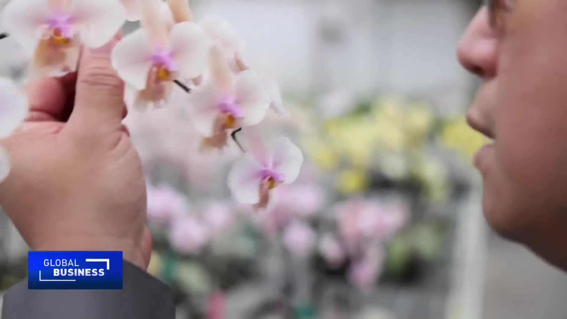A hand gently holds a spray of delicate pink and white orchids. The blossoms are in focus, their petals soft against the blurred background of more flowers and a man's profile.