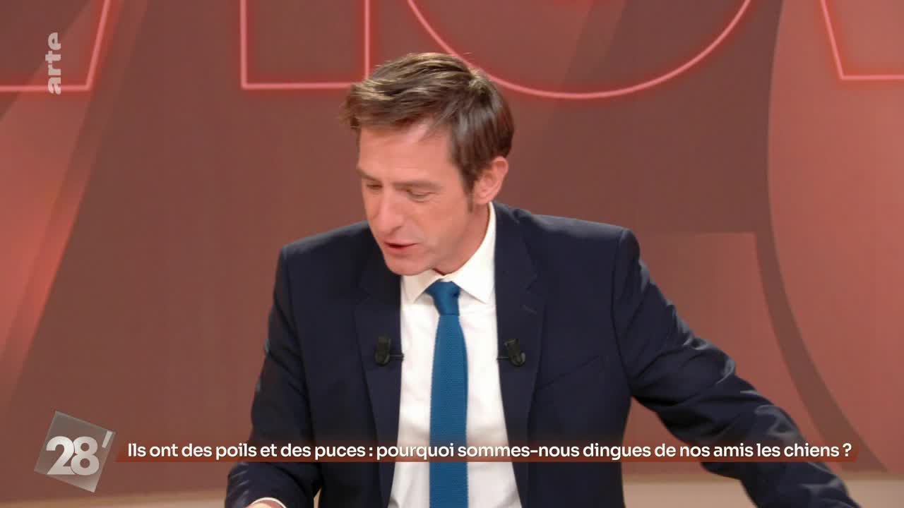 A man in a navy suit and blue tie speaks intently, his gaze fixed downward. The arte logo is visible in the corner, and French text scrolls below.
