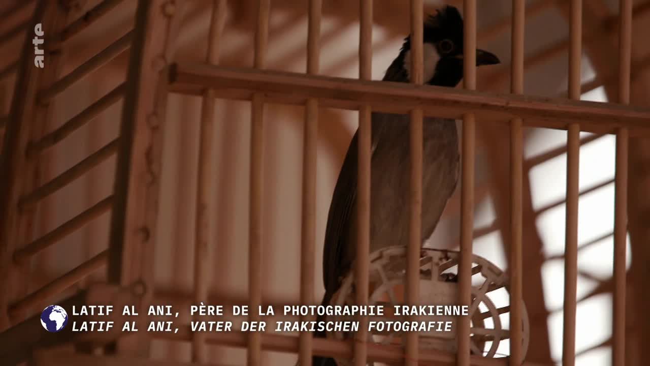 Inside a wooden cage, a bird with a black crest perches on a small, circular platform. The arte logo and text about Latif Al Ani, the father of Iraqi photography, are at the bottom of the frame.
