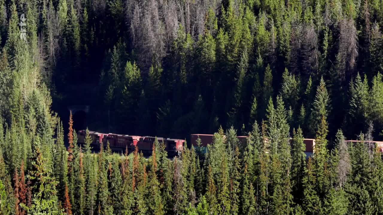 A long freight train, its red engines leading the way, emerges from a dark tunnel carved into the mountainside. The train snakes along the tracks, its brown cargo cars disappearing into the dense, green forest.
