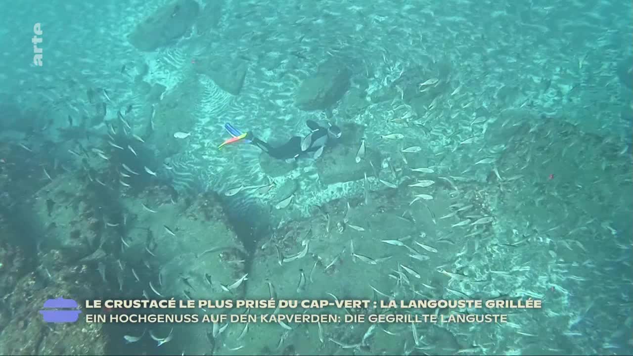 A diver, clad in black, glides through the water, surrounded by a multitude of small, silver fish. The scene unfolds beneath the surface, with a rocky seabed and the arte logo in the corner.
