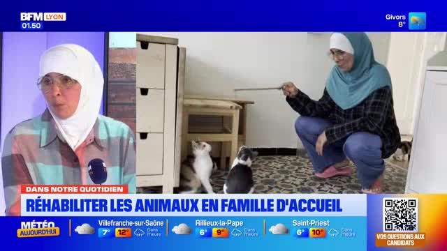 A woman in a hijab crouches, holding a stick to engage two cats. On the left, a woman speaks into a microphone, her face framed by a white hijab. The BFM Lyon chyron below them reads "Réhabiliter les animaux en famille d'accueil." A woman in a hijab crouches, holding a stick to engage two cats. On the left, a woman speaks into a microphone, her face framed by a white hijab. The BFM Lyon chyron below them reads "Réhabiliter les animaux en famille d'accueil."