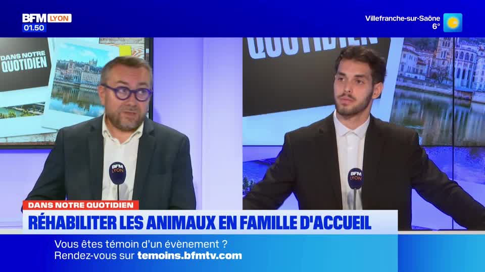 A man in a suit and glasses speaks into a microphone, while another man in a black suit listens intently. The BFM Lyon logo is visible on screen, indicating the broadcast's origin. A man in a suit and glasses speaks into a microphone, while another man in a black suit listens intently. The BFM Lyon logo is visible on screen, indicating the broadcast's origin.