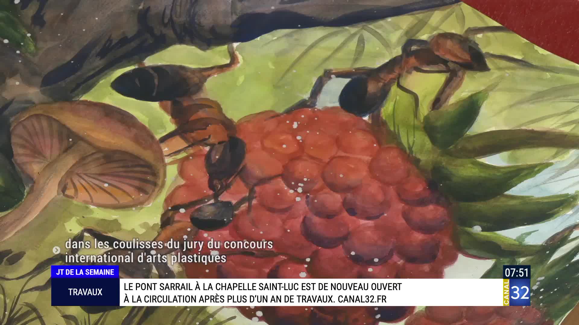 A cluster of ants works on a bright red berry, while a mushroom looms nearby. This scene is part of an art competition being judged, as reported by Canal 32. A cluster of ants works on a bright red berry, while a mushroom looms nearby. This scene is part of an art competition being judged, as reported by Canal 32.