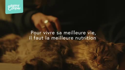 A person's hand gently strokes a fluffy cat lying on its side. White French text overlays the scene, suggesting a message about nutrition. A person's hand gently strokes a fluffy cat lying on its side. White French text overlays the scene, suggesting a message about nutrition.