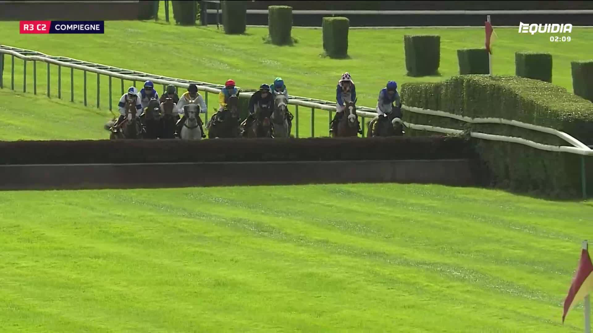 Horses and jockeys in colorful silks approach a hedge, the riders leaning forward.  The race is on Equidia, and the horses are about to jump.
