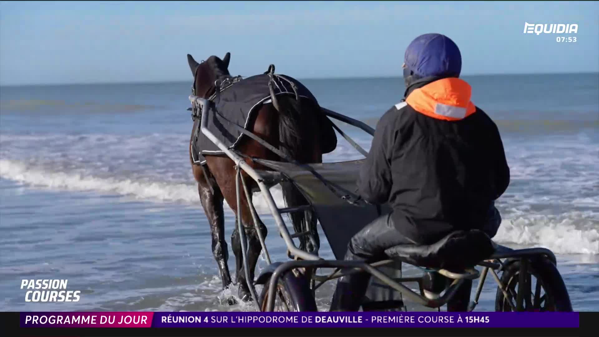 A bay trotter pulls a sulky through the shallow surf. The driver, clad in a bright orange life vest over a dark jacket, guides the horse along the French coast.