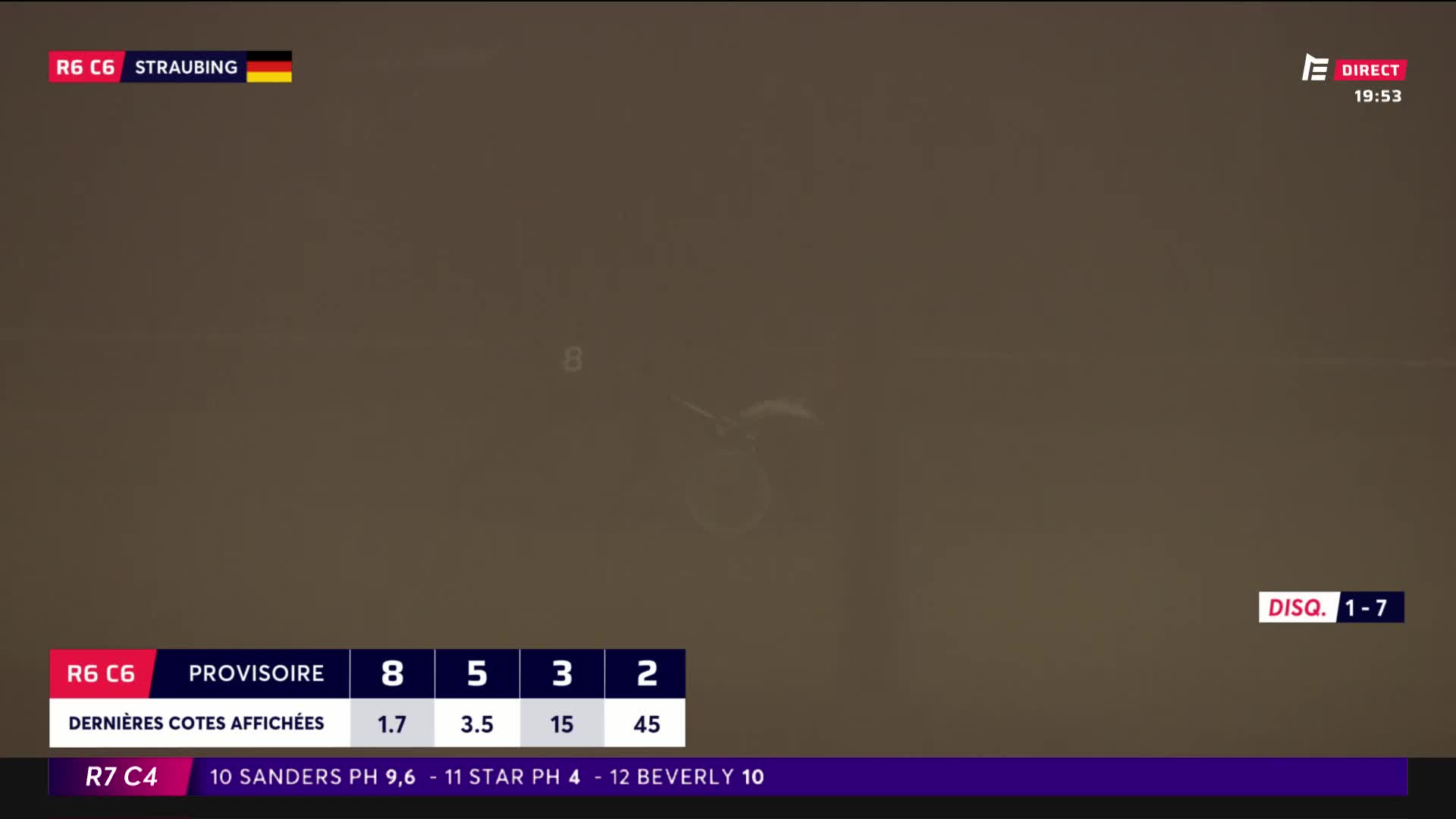 A horse and rider are mid-air, clearing a jump. The crowd's cheers are a distant hum over the thud of hooves.