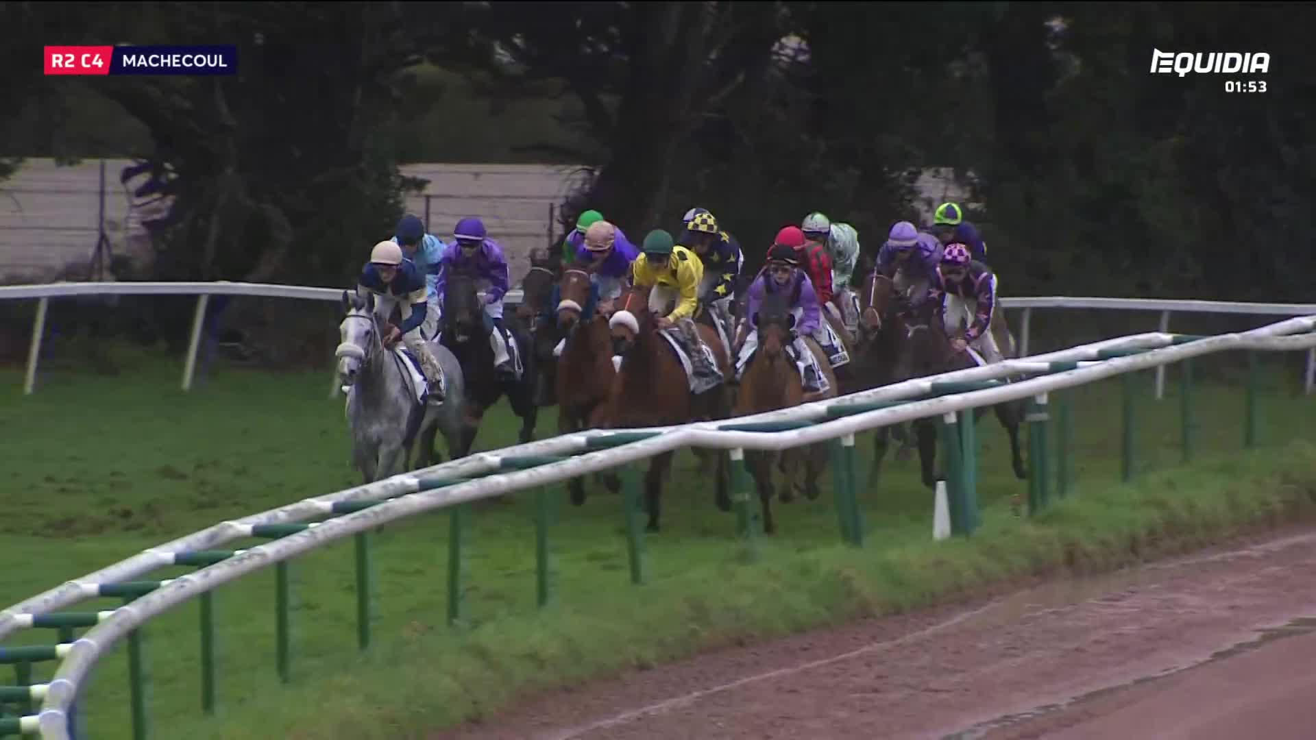 The horses surge forward, a pack of colorful silks against the green turf. A grey mare with a jockey in blue and white leads the charge down the track at Machecoul.