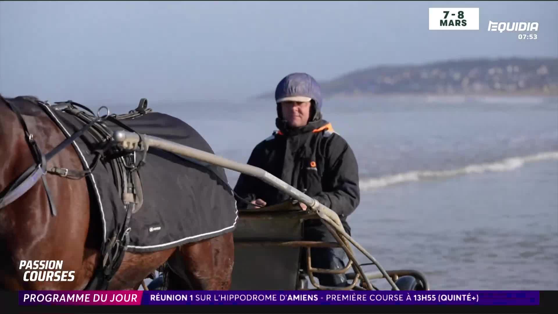 A chestnut trotter pulls a sulky along the water's edge, its driver bundled against the chill. The Equidia broadcast shows this training session on a French beach. A chestnut trotter pulls a sulky along the water's edge, its driver bundled against the chill. The Equidia broadcast shows this training session on a French beach.