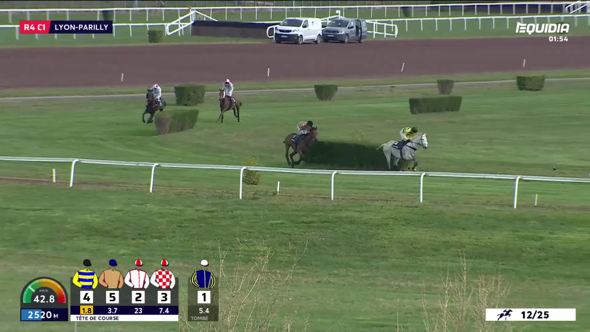 A dark bay horse with a jockey in yellow and green clears a hedge, while a grey horse with a jockey in yellow and white follows closely behind. Further back, another horse and rider are approaching the same obstacle.