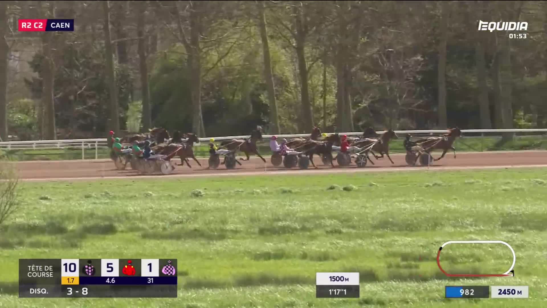 The horses are pulling their sulkies along the dirt track at a steady pace. The green grass of the infield is bright under the afternoon sun.