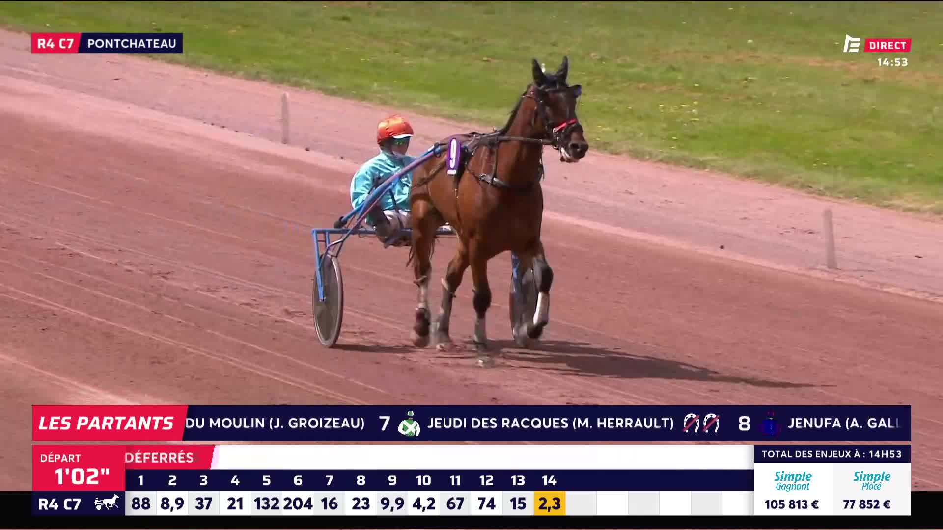 A chestnut trotter pulls its sulky, its driver in a bright blue jacket and orange helmet. The horse's hooves kick up dust on the sandy track as it moves steadily forward. A chestnut trotter pulls its sulky, its driver in a bright blue jacket and orange helmet. The horse's hooves kick up dust on the sandy track as it moves steadily forward.